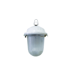 Светодиодный светильник LED ДСП 02-13-001 950лм 13Вт IP52 TDM