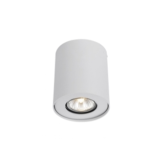 Накладной потолочный спот Arte Lamp A5633PL-1WH FALCON GU10 1х50W 220V IP20