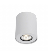Накладной потолочный спот Arte Lamp A5633PL-1WH FALCON GU10 1х50W 220V IP20