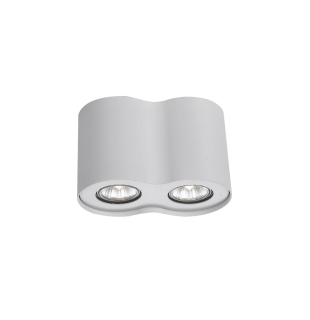 Накладной потолочный спот Arte Lamp A5633PL-2WH FALCON GU10 2х50W 220V IP20