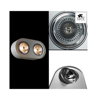 Накладной потолочный спот Arte Lamp A5643PL-2WH CLIFF G53 AR111 2х50W 220V IP20