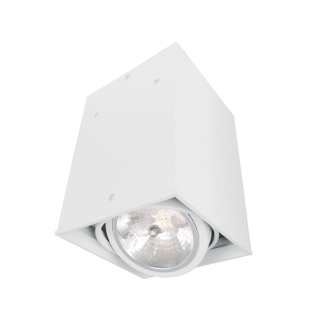 Накладной потолочный спот ARTE LAMP A5936PL-1WH CARDANI 1xG5,3 50W 220V IP20
