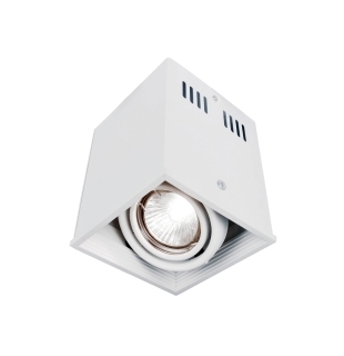 Накладной потолочный спот ARTE LAMP A5942PL-1WH CARDANI 1xGU10 50W 220V IP20