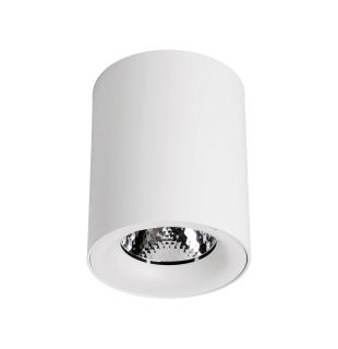 Спот потолочный, накладной ARTE LAMP A5130PL-1WH FACILE LED модуль (несменный) 30W 220V IP20